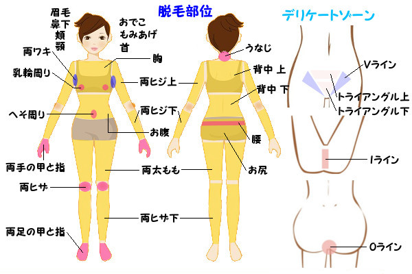 介護脱毛で可能な全身脱毛部位