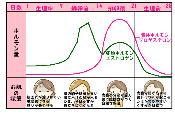 生理前後・生理中の脱毛に注意