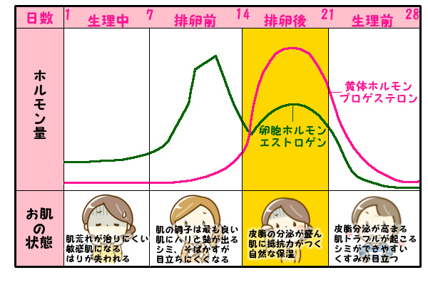 ケノンで脱毛する最適な時期は生理後１週間後