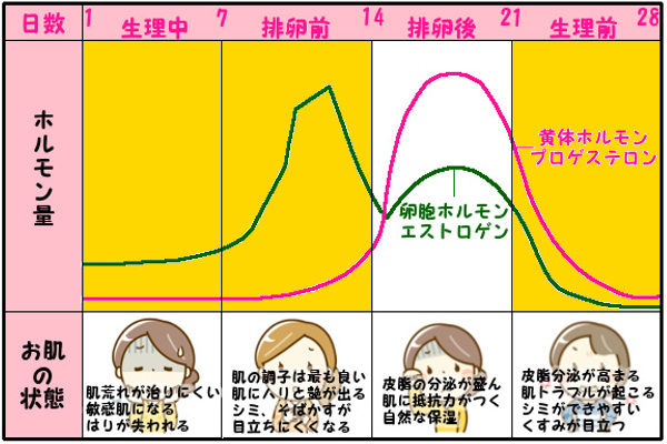 脱毛器ケノンでの生理中と生理前後1週間の脱毛のやり方