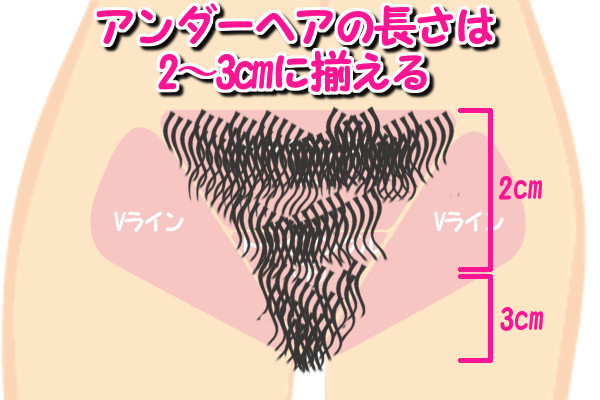 アンダーヘアの長さを整えるときは2cmから3cmにする