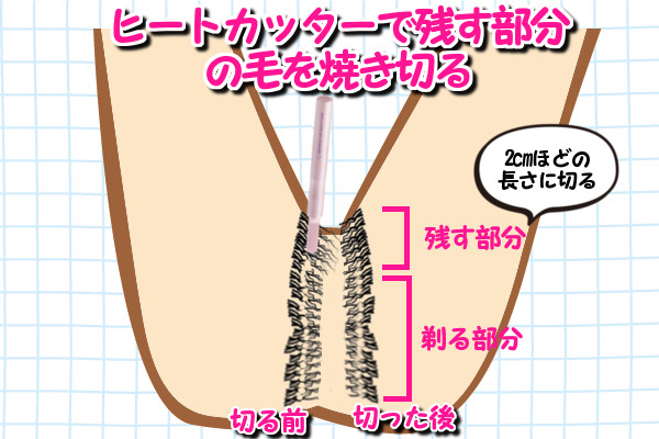 Iラインの毛量を減らす部分の毛はヒートカッターで2cmほどの長さに整える