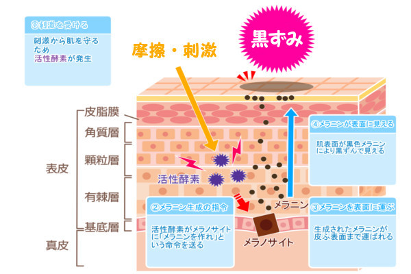 メラニンは肌が刺激を受けると生成される