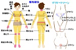 脱毛器ケノンの脱毛できる箇所は？