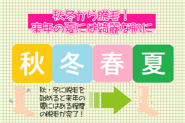 来年の夏までに脱毛できる