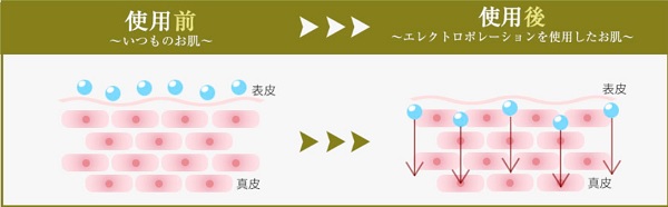 エレクトロポレーションで角質層の奥まで有効成分を届ける