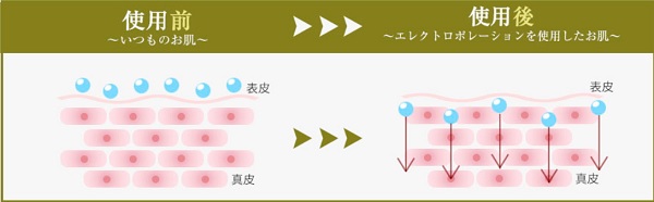 エレクトロポレーションで角質層の奥まで有効成分を届ける